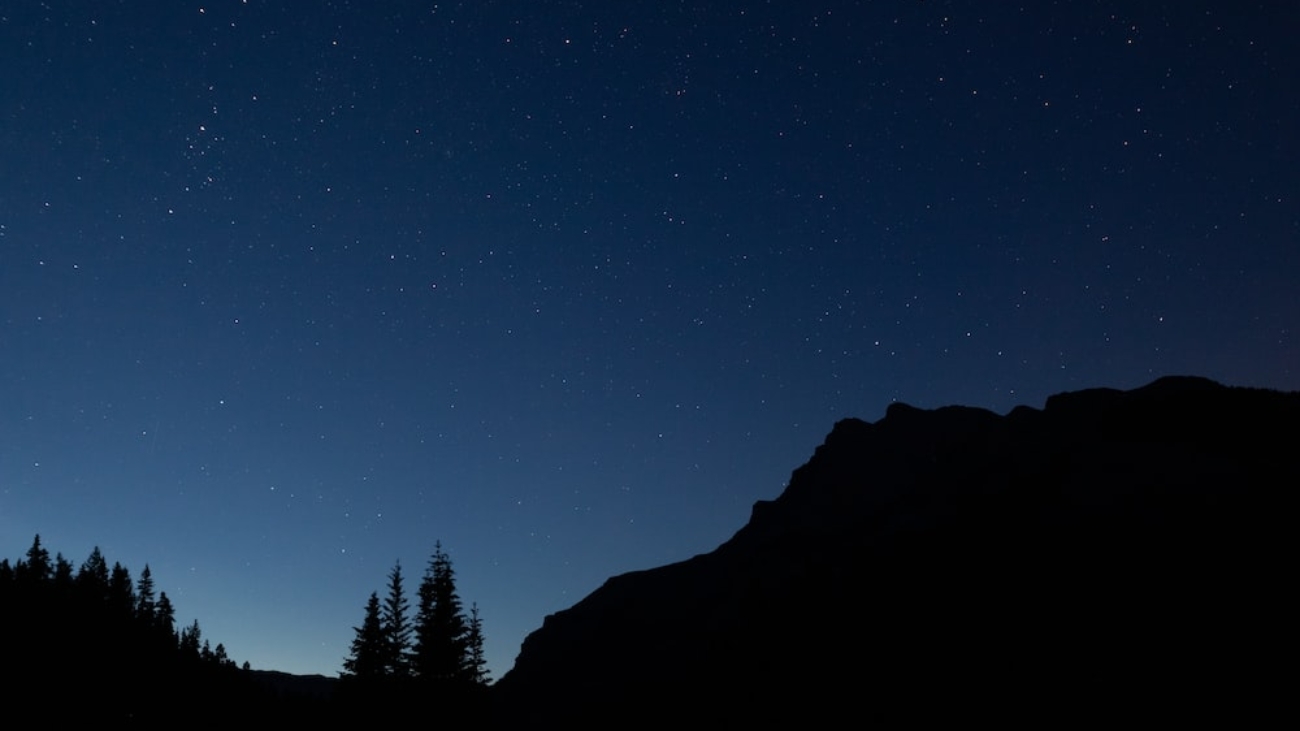 photo-1566052356702-c255c7af3521